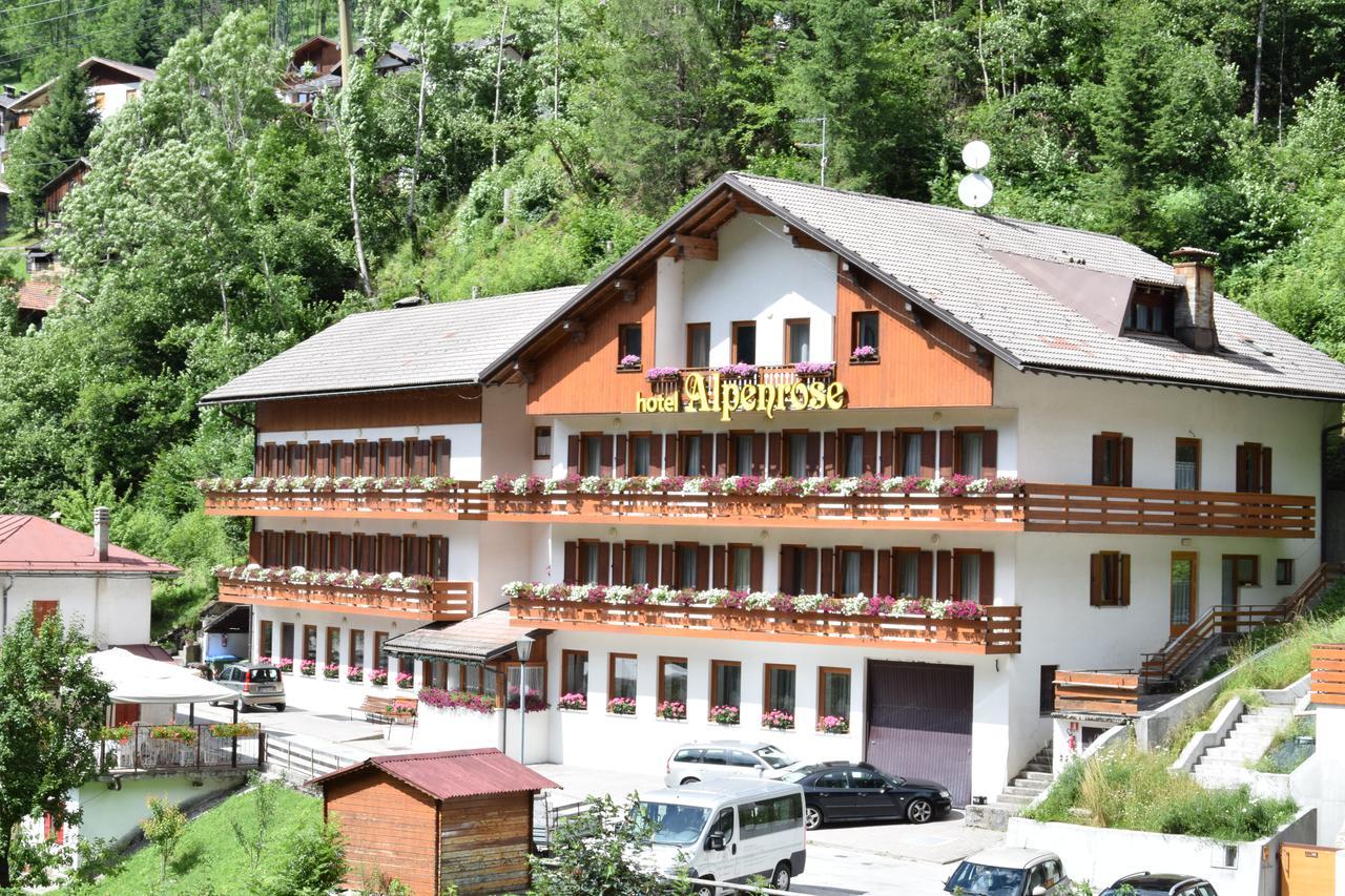 Alpenrose Hotel 3*