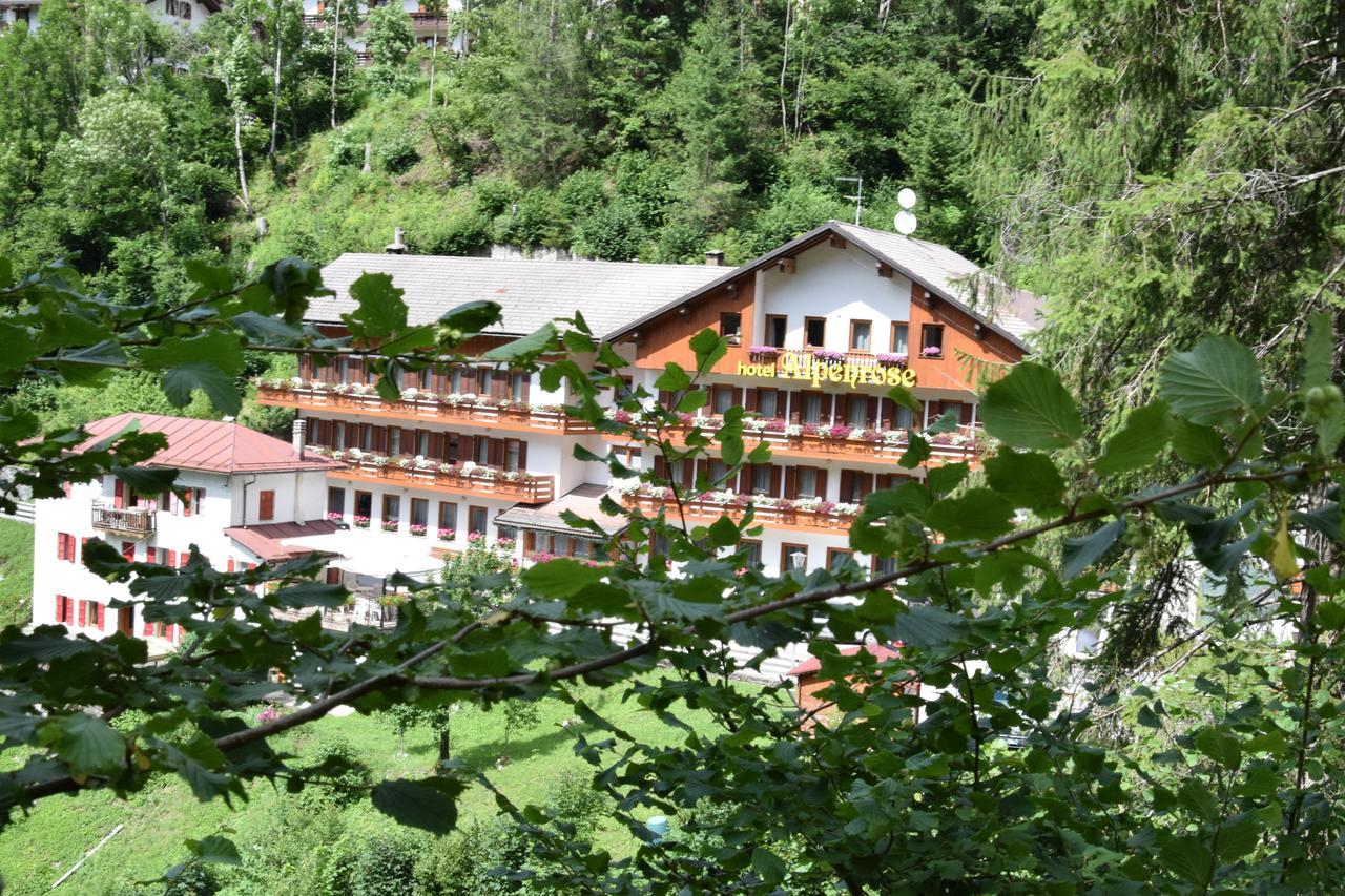 Alpenrose 3* Alleghe